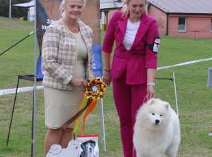 Klubová Výstava Zbraslav   28092024 4